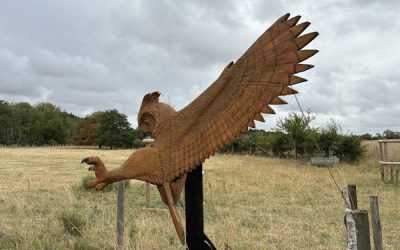 Stanton Country Park – visitor experience and income generation