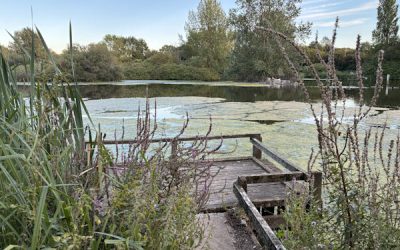 Mouldon Hill Country Park – visitor experience and income generation