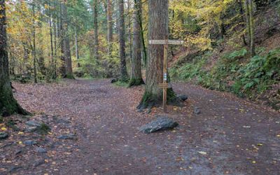 Countryside management consultants