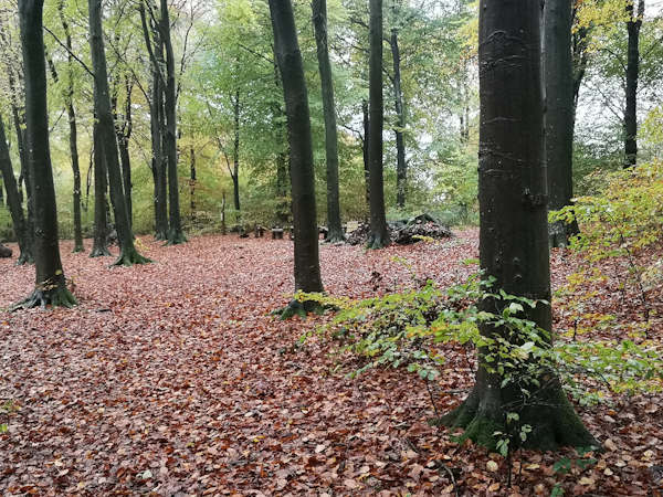 Commercial Income Generation Country Park