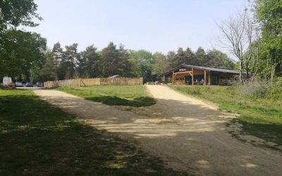 Country Park Tourist Accommodation Feasibility Study