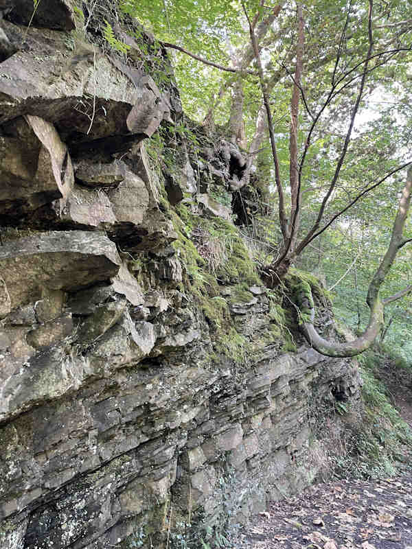 Geopark Consultant