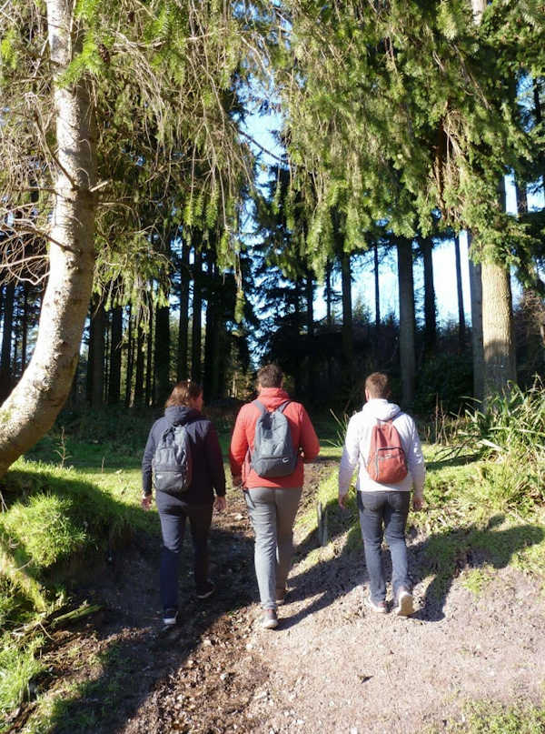 Land Management Plan Public Access