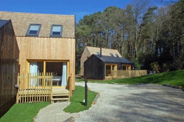 Forest lodge feasibility study – sustainable tourism development Forest lodge feasibility study – sustainable tourism development