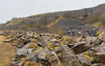 Former quarry – market assessment and options appraisal, County Leitrim, May 2026