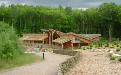 Kent Tourism Consultants | PSC