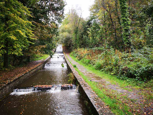 country park resilience plan