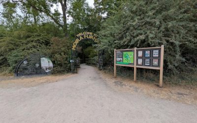 Visitor Experience Consultancy at Moira Furnace Museum and Country Park, September 2026